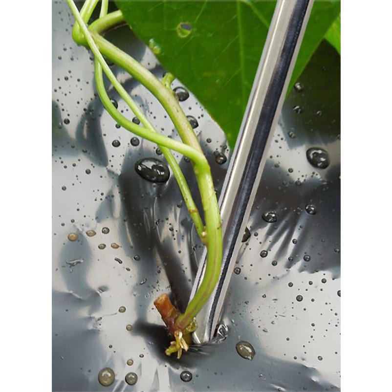 DAISHIN（大進） らくらくイモヅル植え器 お得な3本組 ステンレス 芋