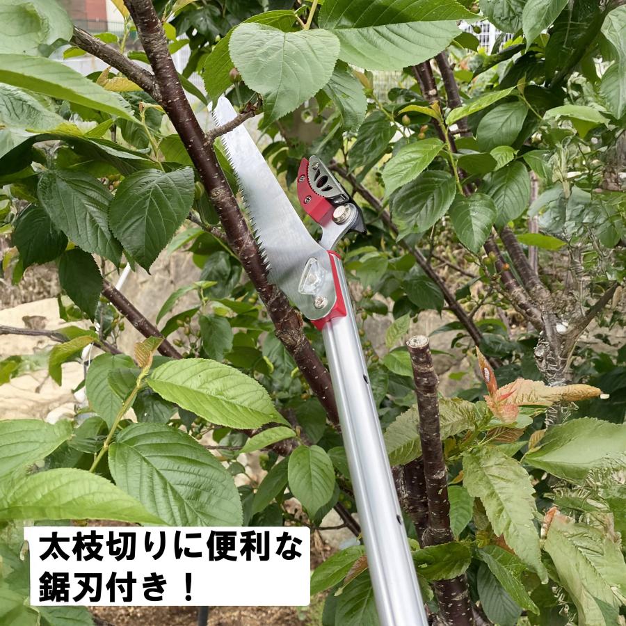 DAISHIN（大進） 高枝切りバサミ 3m 太い枝 剪定鋏 剪定ばさみ 枝きり 