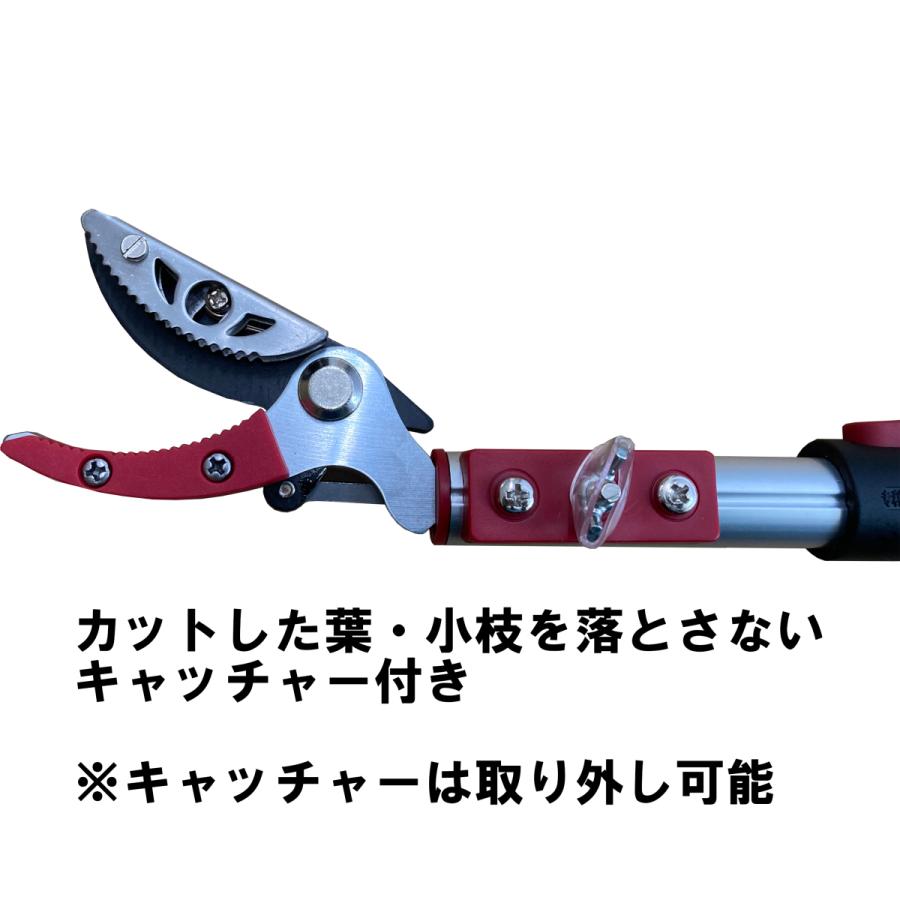 大進 コンパクトに収納できる 高枝切りバサミ 最長 3m 高枝切りのこぎり 高枝切り鋏 高枝切鋏 剪定鋏 高枝きりばさみ 超軽量 軽量 軽い はさみ 鋏 太い枝 伸縮 :4939736702994:comcon株式会社 - 通販 - Yahoo!ショッピング 大進 コンパクトに収納できる 高枝切りバサミ 最長 3m 高枝切りのこぎり 高枝切り鋏 高枝切鋏 剪定鋏 高枝きりばさみ 超軽量 軽量 軽い はさみ 鋏 太い枝 伸縮 :4939736702994:comcon株式会社 - 通販 - Yahoo!ショッピング