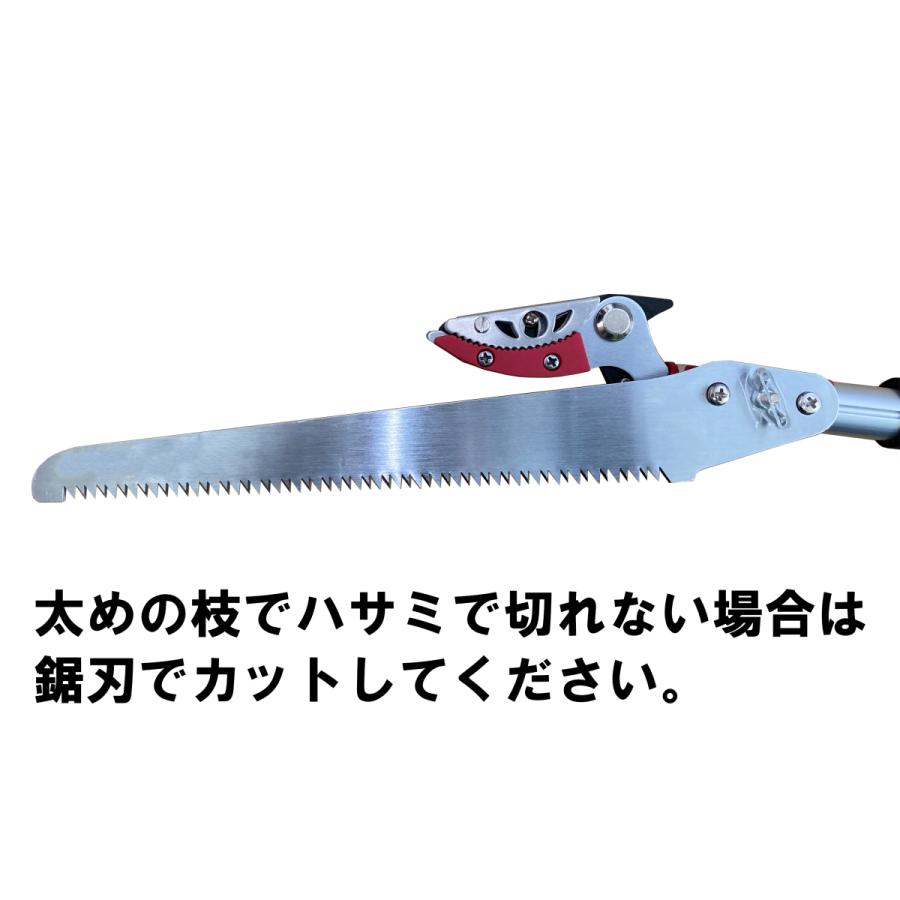 大進 コンパクトに収納できる 高枝切りバサミ 最長 3m 高枝切りのこぎり 高枝切り鋏 高枝切鋏 剪定鋏 高枝きりばさみ 超軽量 軽量 軽い はさみ 鋏 太い枝 伸縮 :4939736702994:comcon株式会社 - 通販 - Yahoo!ショッピング 大進 コンパクトに収納できる 高枝切りバサミ 最長 3m 高枝切りのこぎり 高枝切り鋏 高枝切鋏 剪定鋏 高枝きりばさみ 超軽量 軽量 軽い はさみ 鋏 太い枝 伸縮 :4939736702994:comcon株式会社 - 通販 - Yahoo!ショッピング