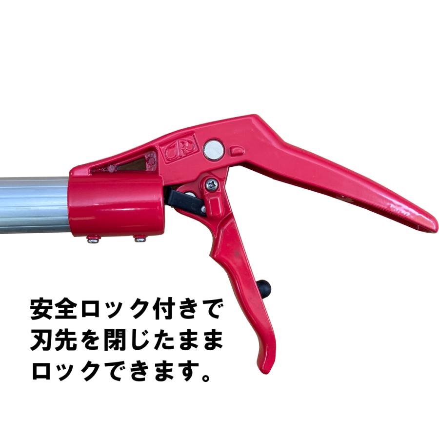 大進 コンパクトに収納できる 高枝切りバサミ 最長 3m 高枝切りのこぎり 高枝切り鋏 高枝切鋏 剪定鋏 高枝きりばさみ 超軽量 軽量 軽い はさみ 鋏 太い枝 伸縮 :4939736702994:comcon株式会社 - 通販 - Yahoo!ショッピング 大進 コンパクトに収納できる 高枝切りバサミ 最長 3m 高枝切りのこぎり 高枝切り鋏 高枝切鋏 剪定鋏 高枝きりばさみ 超軽量 軽量 軽い はさみ 鋏 太い枝 伸縮 :4939736702994:comcon株式会社 - 通販 - Yahoo!ショッピング