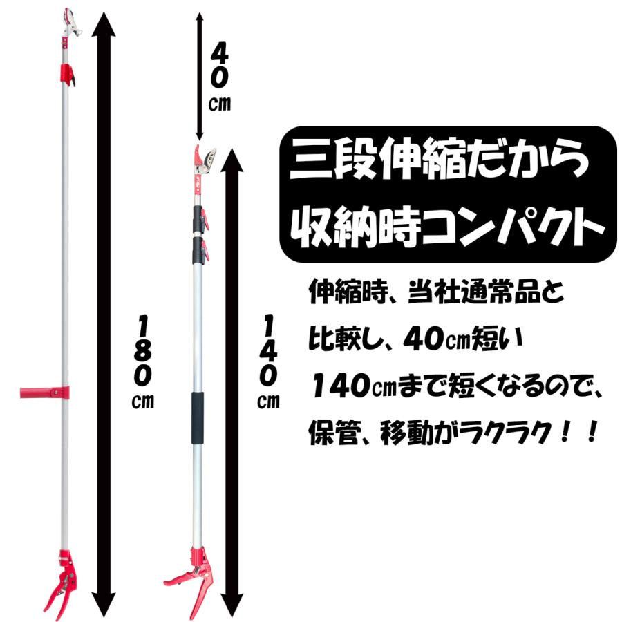 高枝切りバサミ 3m 太い枝 剪定鋏 剪定ばさみ 枝きりはさみ 高枝切鋏 高枝切りのこぎり 高枝切り鋏 高枝きりばさみ はさみ 鋏 大進 柿 カキ｜comcon｜10