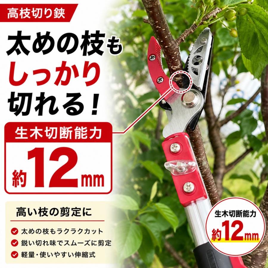DAISHIN（大進） 高枝切りバサミ 3.5m 太い枝 剪定 鋏 剪定ばさみ 高枝 
