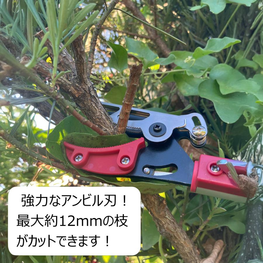 ちょうどいい2m 超軽量620g 鋸刃付き 大進 高枝切りバサミ たかえだ