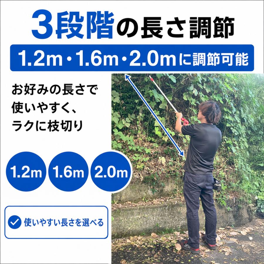 DAISHIN（大進） ちょうどいい2m 超軽量620g 鋸刃付き 高枝切りバサミ