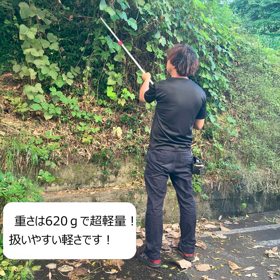 DAISHIN（大進） ちょうどいい2m 超軽量620g 鋸刃付き 高枝切りバサミ