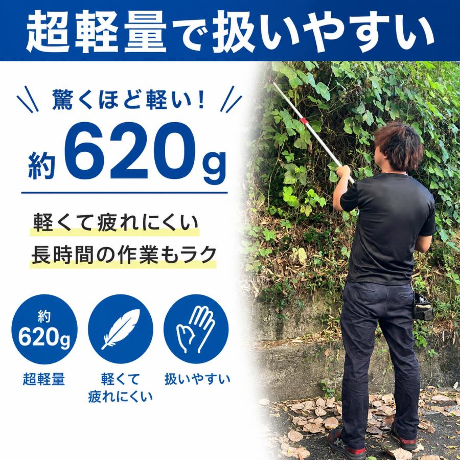 DAISHIN（大進） ちょうどいい2m 超軽量620g 鋸刃付き 高枝切りバサミ