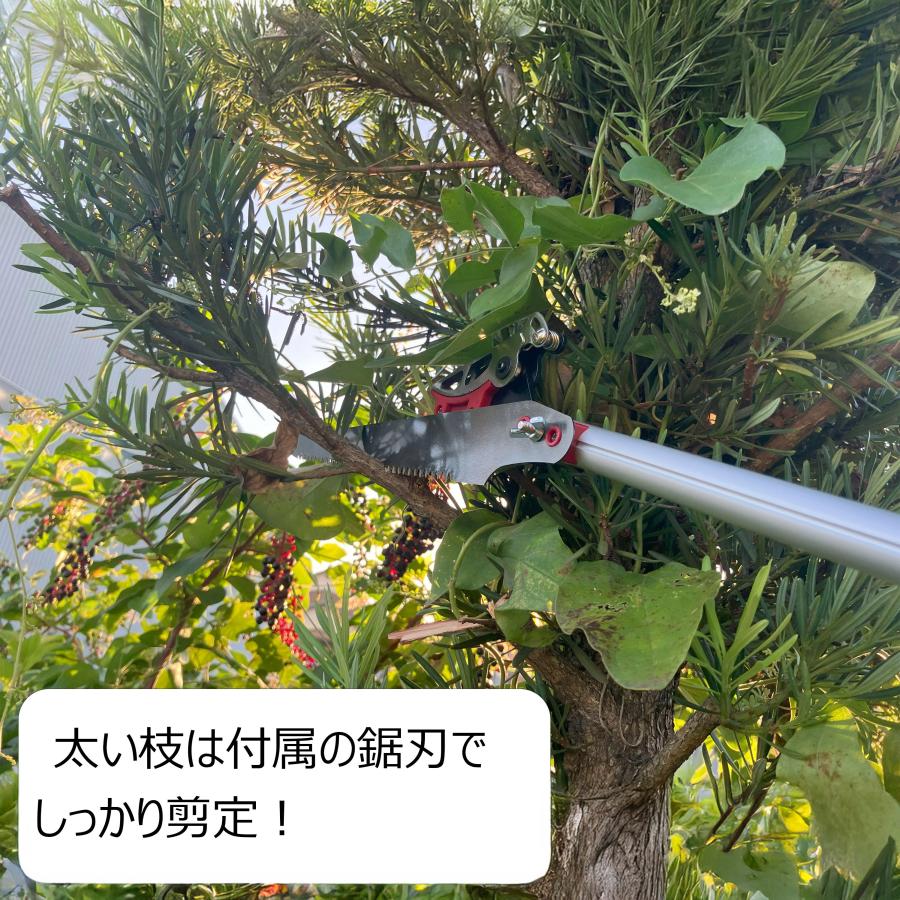 DAISHIN（大進） ちょうどいい2m 超軽量620g 鋸刃付き 高枝切りバサミ
