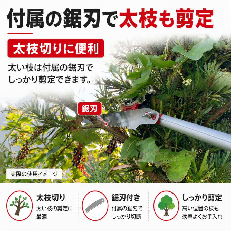 DAISHIN（大進） ちょうどいい2m 超軽量620g 鋸刃付き 高枝切りバサミ