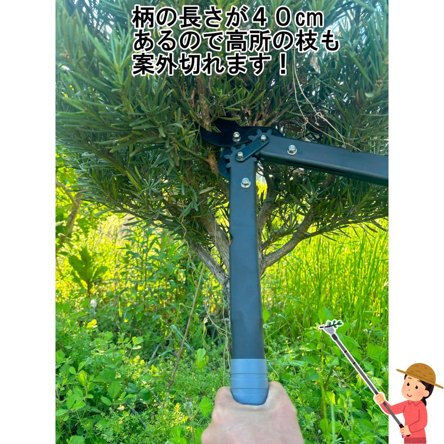 大進 収納に便利な太枝切鋏 太枝切り鋏 剪定 枝 庭木 手入れ