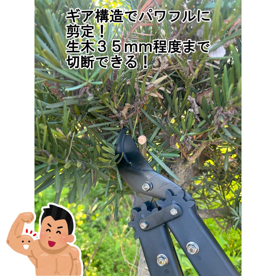 DAISHIN（大進） 収納に便利な太枝切鋏 太枝切り鋏 剪定 枝 庭木