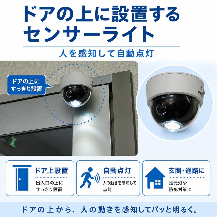 DAISHIN（大進） センサー ライト 屋外 LED 電池 乾電池式 人感 DLB