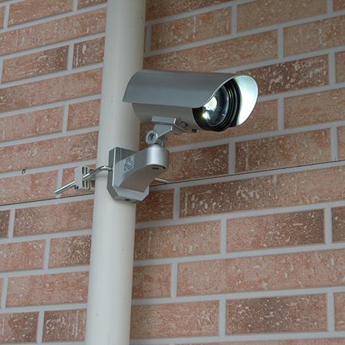 DAISHIN（大進） 防犯カメラ型 センサーライト 屋外 LED 電池式 人感
