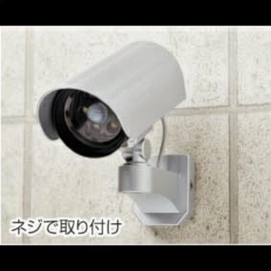 DAISHIN（大進） 防犯カメラ型 センサーライト 屋外 LED 電池式 人感