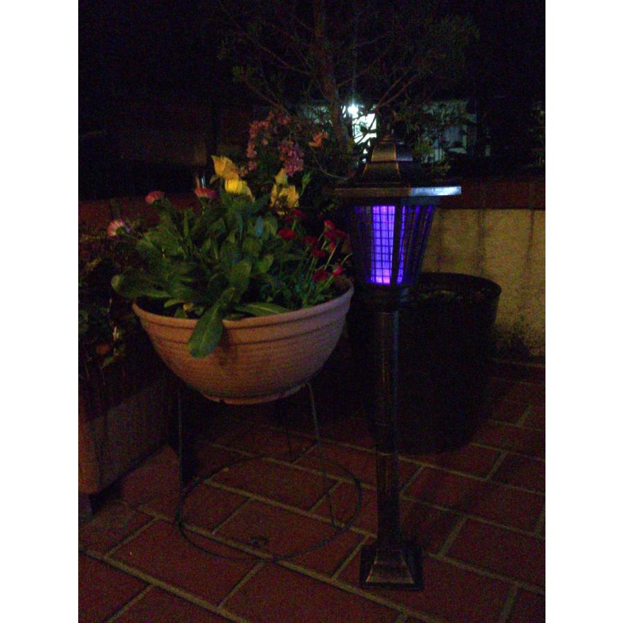 【希少】小林銅蟲ランド1 走る！！昆虫シリーズ No.2 かぶと虫 4975406005576 昆虫 知育