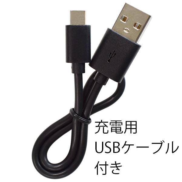 DAISHIN（大進） センサーライト 人感 屋外 LED 電池式 マグネット