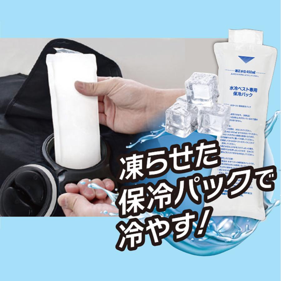 DAISHIN（大進） ひんやり 水冷ベスト 専用保冷パック 4本セット