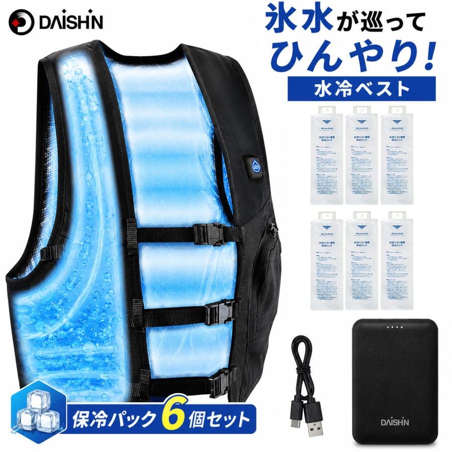 保冷パックX6個入り 大進 水冷ベスト DX 水冷服 冷感服 最強 冷水