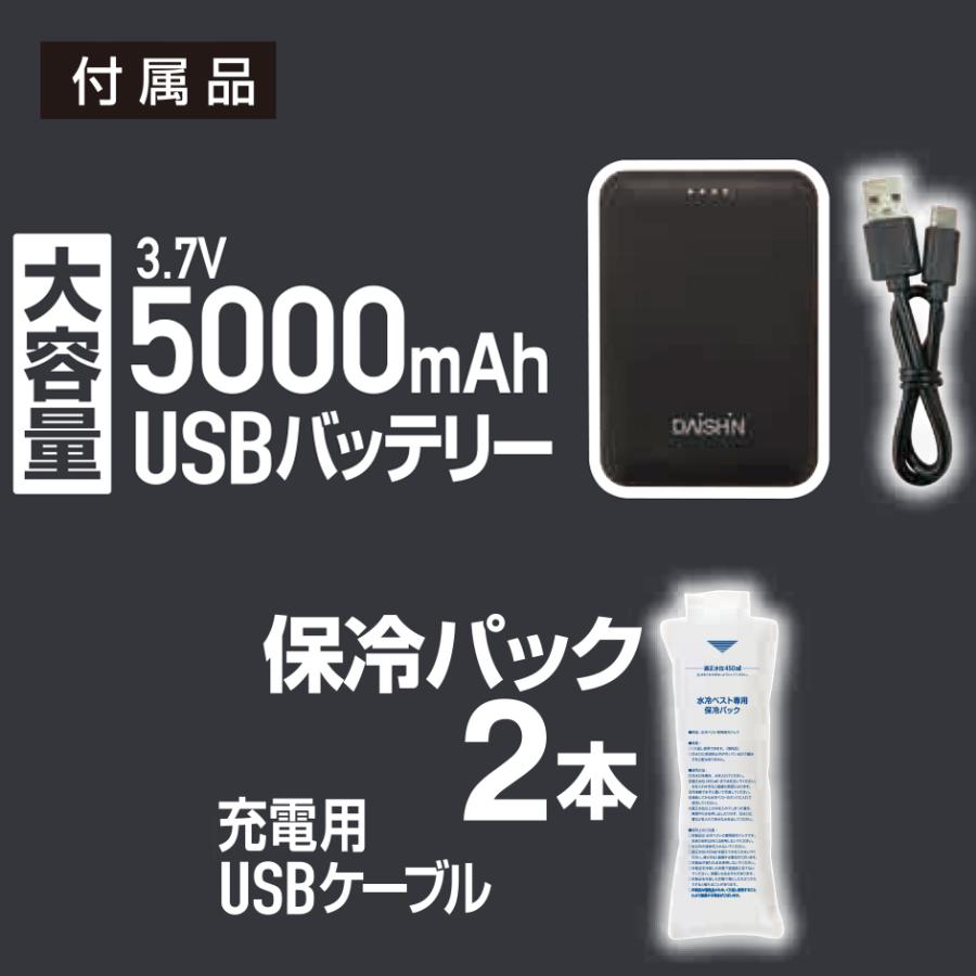 保冷パックX6個入り 大進 水冷ベスト DX 水冷服 冷感服 最強 冷水