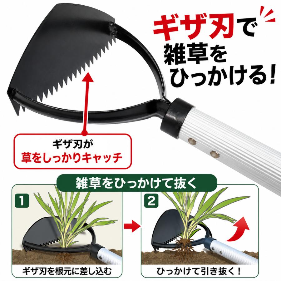DAISHIN（大進） 伸縮式 雑草削る君 と伸縮式ガーデンクリーナー の
