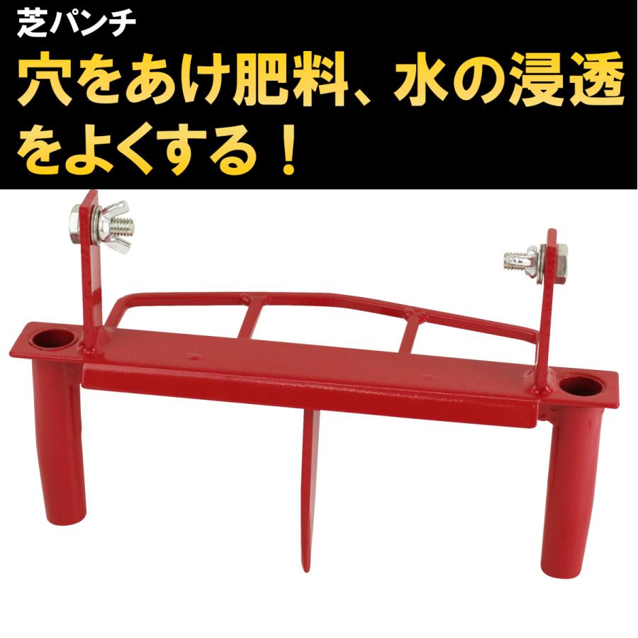 替刃式芝パンチ＋芝スパイク＋芝カッターの芝お手入れセット大進  園芸 ガーデニング 農業 女性 | DAISHIN | 01