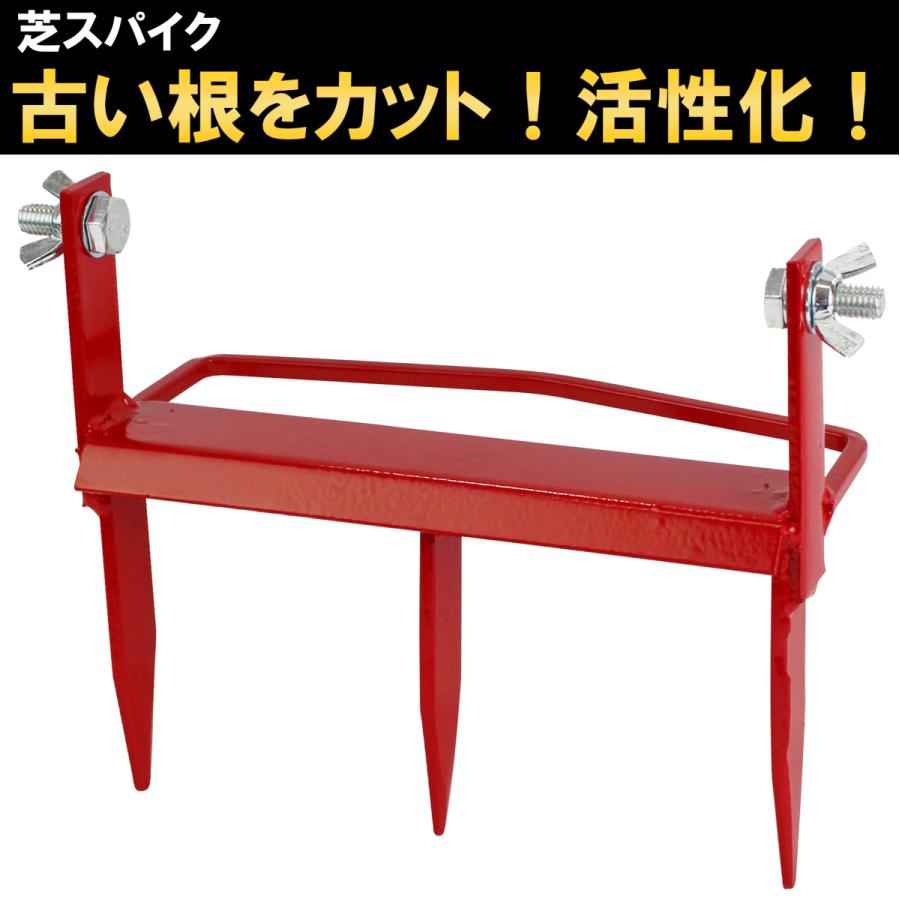 替刃式芝パンチ＋芝スパイク＋芝カッターの芝お手入れセット大進  園芸 ガーデニング 農業 女性 | DAISHIN | 02