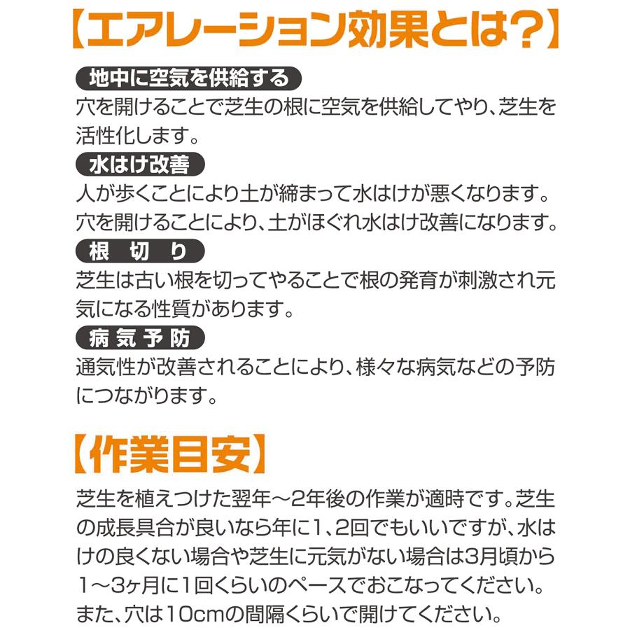 替刃式芝パンチ＋芝スパイク＋芝カッターの芝お手入れセット大進  園芸 ガーデニング 農業 女性 | DAISHIN | 04