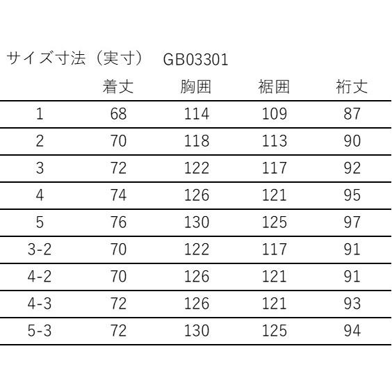 GOLDWIN（ゴールドウイン） コーデュラ エンデューロ ジャケット