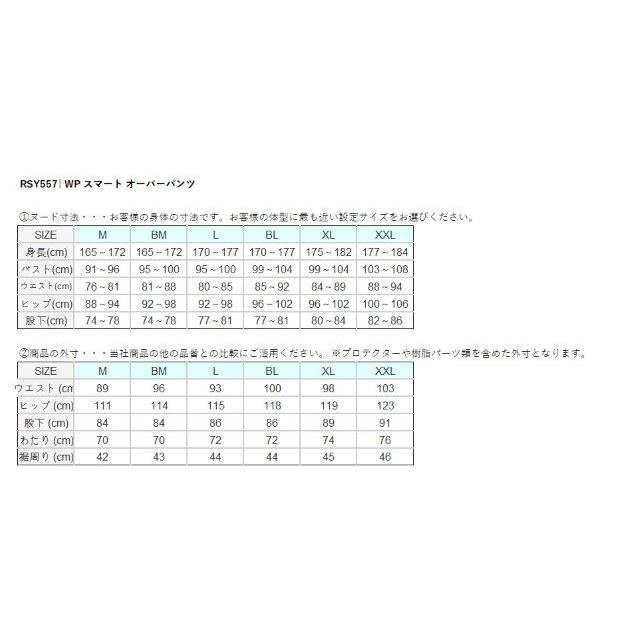 TAICHI WP スマート オーバーパンツ メンズサイズ RSY557 アールエス