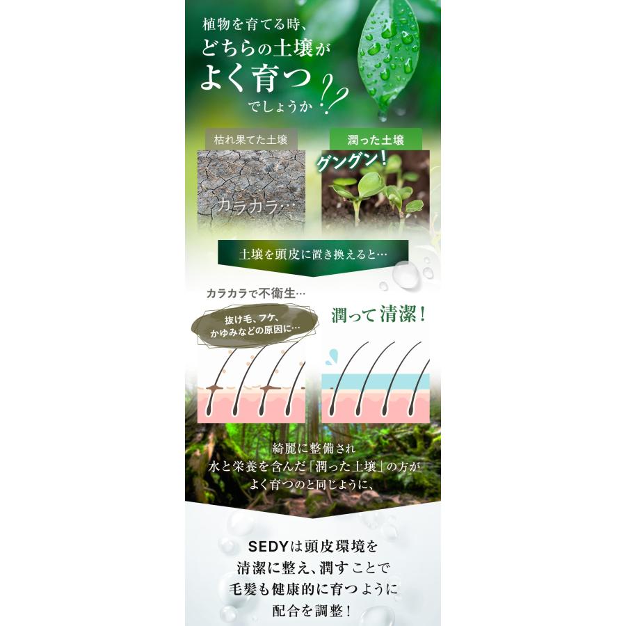 Co-medical+（シーオーメディカル） シャンプー SEDY01 シャンプー