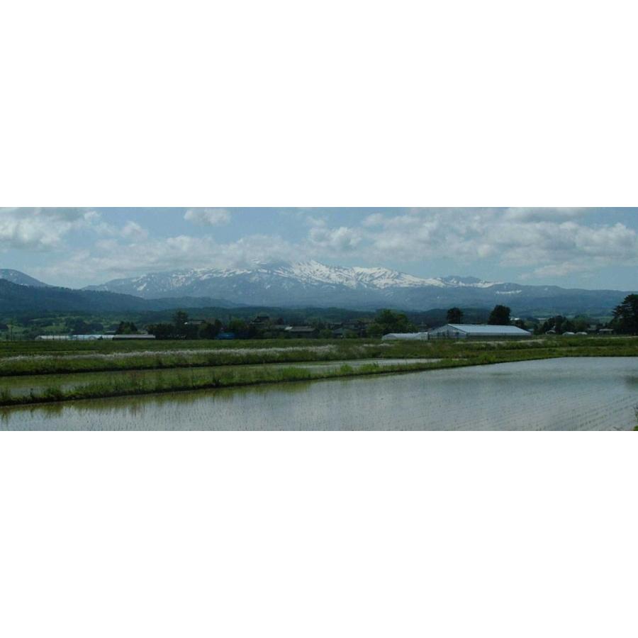 雪若丸白米5kg 令和7年産 新米 | つや姫 | 03