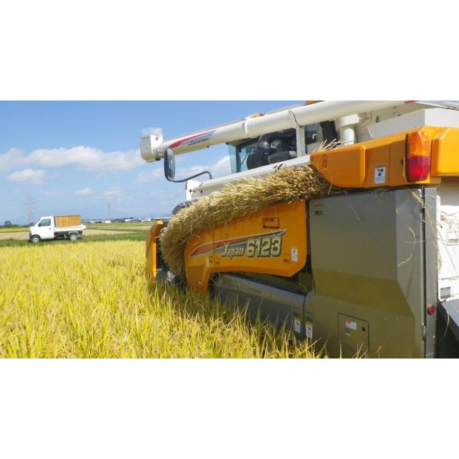 雪若丸白米5kg 令和7年産 新米 | つや姫 | 04