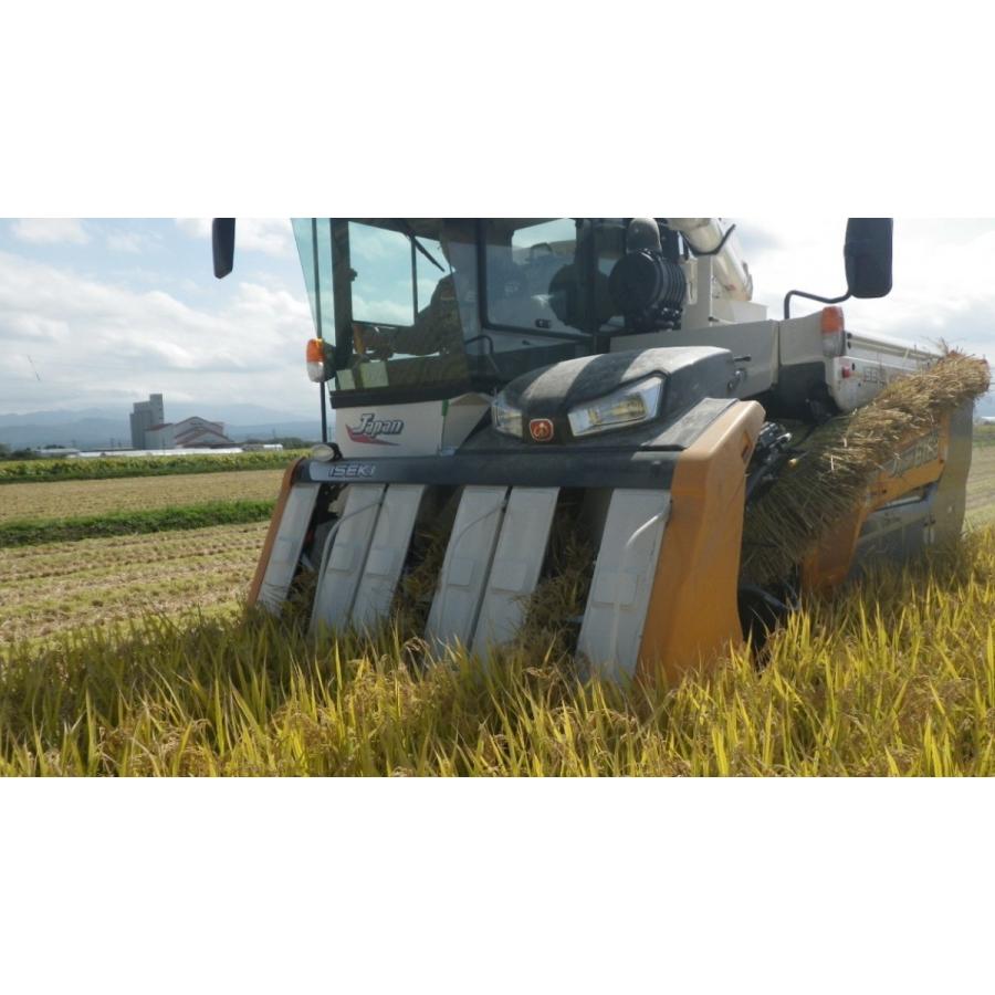 雪若丸白米10kg 令和7年産 新米 | つや姫 | 01