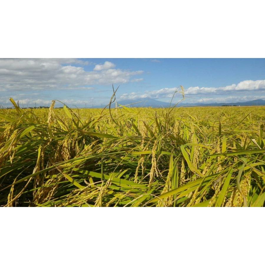 令和6年産 山形県 庄内産 検査1等 特別栽培 はえぬき 玄米 10kg×３袋 斎藤農場 | はえぬき | 03