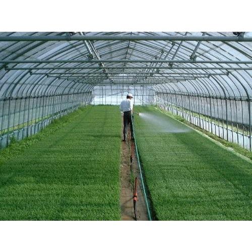 令和6年産 山形県 庄内産 検査1等 特別栽培 はえぬき 玄米 10kg×３袋 斎藤農場 | はえぬき | 04