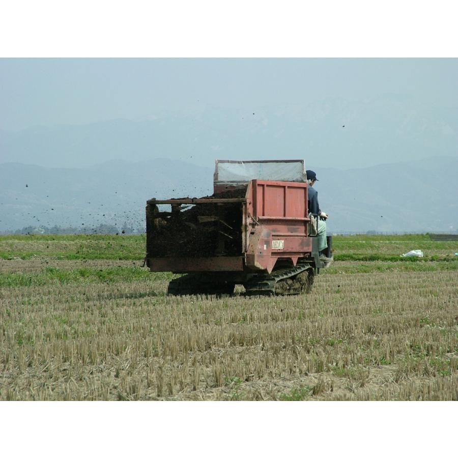 令和6年産 山形県 庄内産 検査1等 特別栽培 つや姫 玄米 10kg×3袋 斎藤農場 | つや姫 | 04