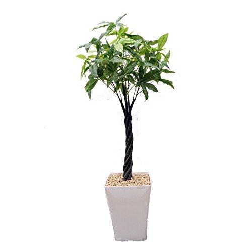 値下 パキラ１ ２ｍ 人工 観葉植物 光触媒 インテリア グリーン A B01b9z6q コンフォトラストストア 通販 Yahoo ショッピング オンラインストア直営店 Clinicaaldente Es