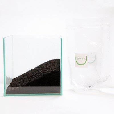 コケのインテリア コケリウム 栽培キット テラリウム キット コケリウムキット cmキューブ フ セット 直輸入品激安 苔盆栽