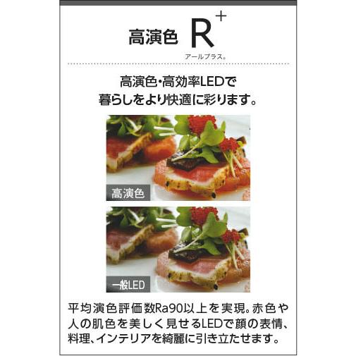 KOIZUMI（コイズミ） LED パネルダウンライト 屋内屋外兼用 高気密SB