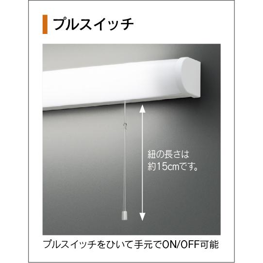 TOSHIBA（東芝） 東芝ライテック LED流し元灯 両面化粧タイプ ランプ