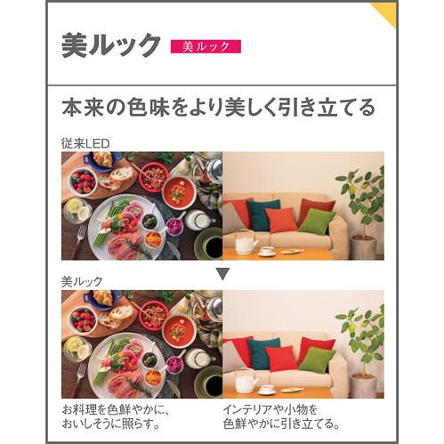 Panasonic パナソニック LEDブラケット 長手配光 美ルック 拡散 Panasonic パナソニック LEDブラケット 長手配光 美ルック 拡散