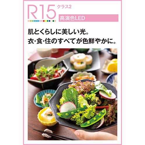 【新品未使用】【オーデリック】【5個セット】3光色切替ダウンライト LEDダウンライト 3光色切替調光 ODELIC(オーデリック) 【通販モノタロウ】