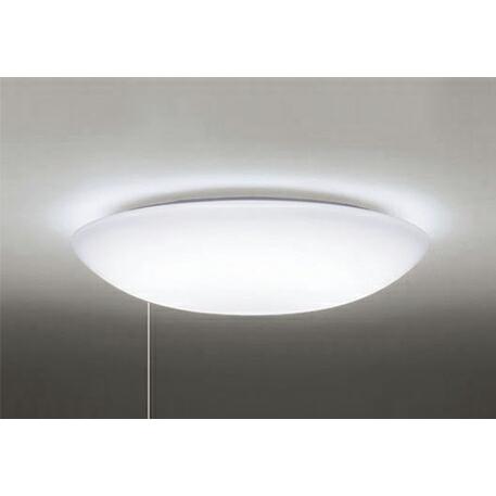 骸骨 ドクロ スケルトン ガラスの置物 ガラスプレート