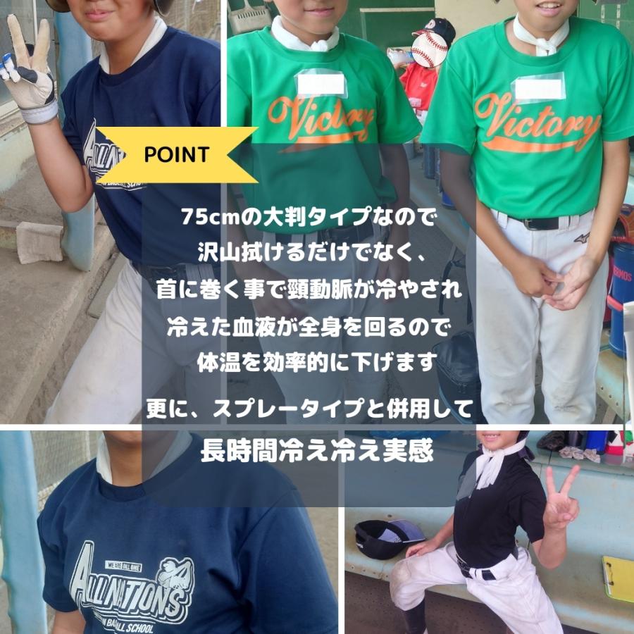 クールワーカー ロングボディシート 東神電気 厚手不繊布シート プロ
