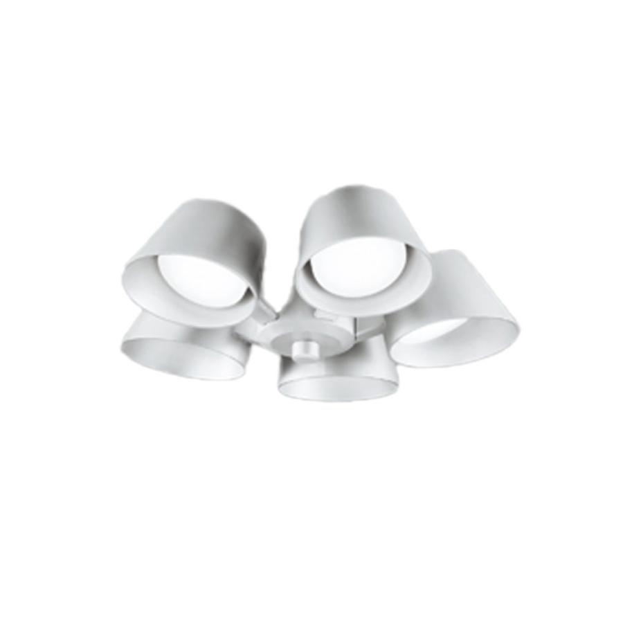 ODELIC（オーデリック） シーリングファン専用灯具 LED5灯 〜6畳 WF055