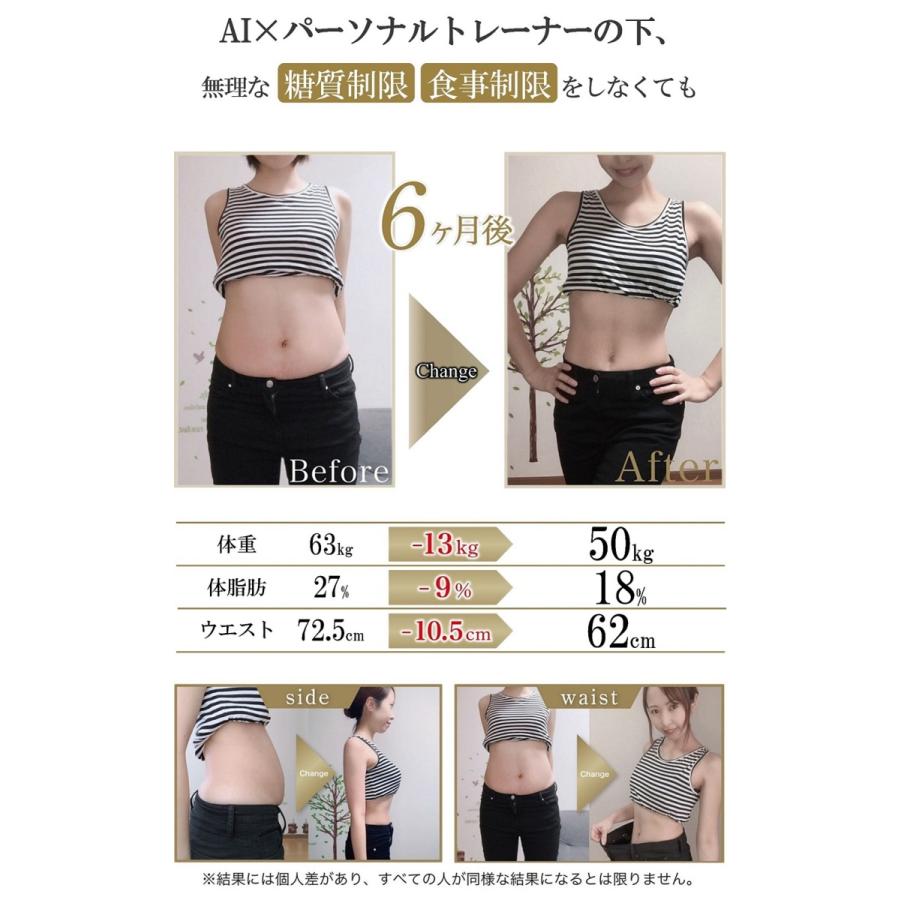 InField（インフィールド） AI × フィットネスバイク 18段負荷自動調節