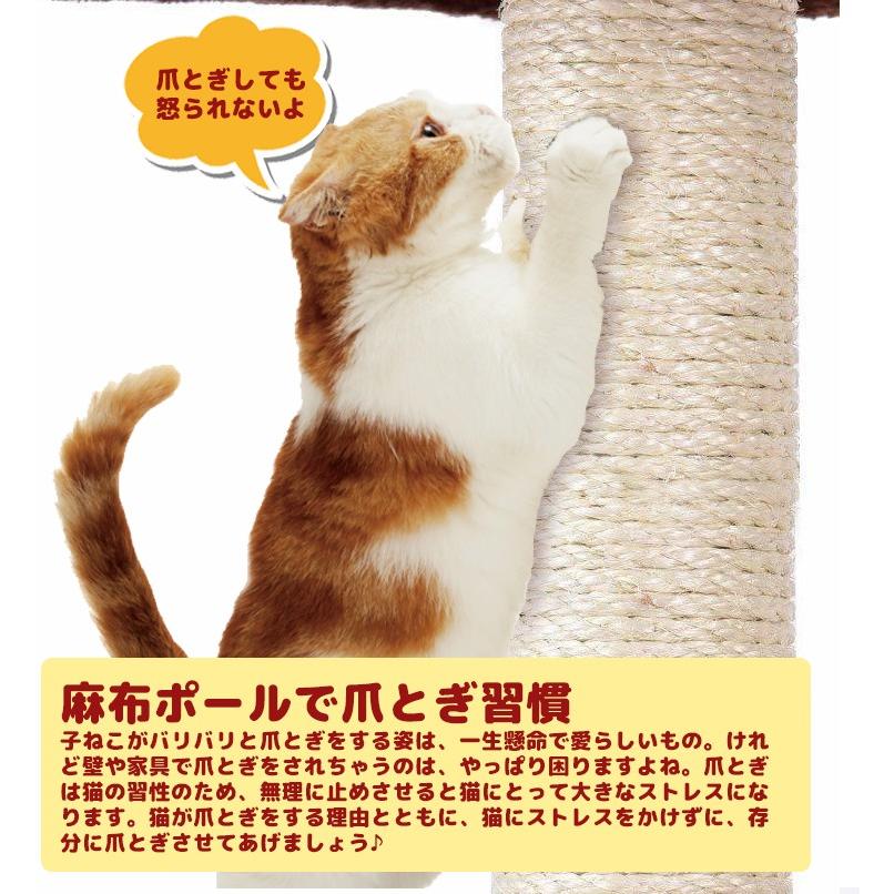 キャットタワー 送料無料 エトワール おしゃれ 麻ひも 省スペース 小型 猫ハウス トンネル付き 爪とぎ 猫タワー cat tree 据え置き型 :day-exk-8005b:コンフォート - 通販 - Yahoo!ショッピング キャットタワー 送料無料 エトワール おしゃれ 麻ひも 省スペース 小型 猫ハウス トンネル付き 爪とぎ 猫タワー cat tree 据え置き型 :day-exk-8005b:コンフォート - 通販 - Yahoo!ショッピング