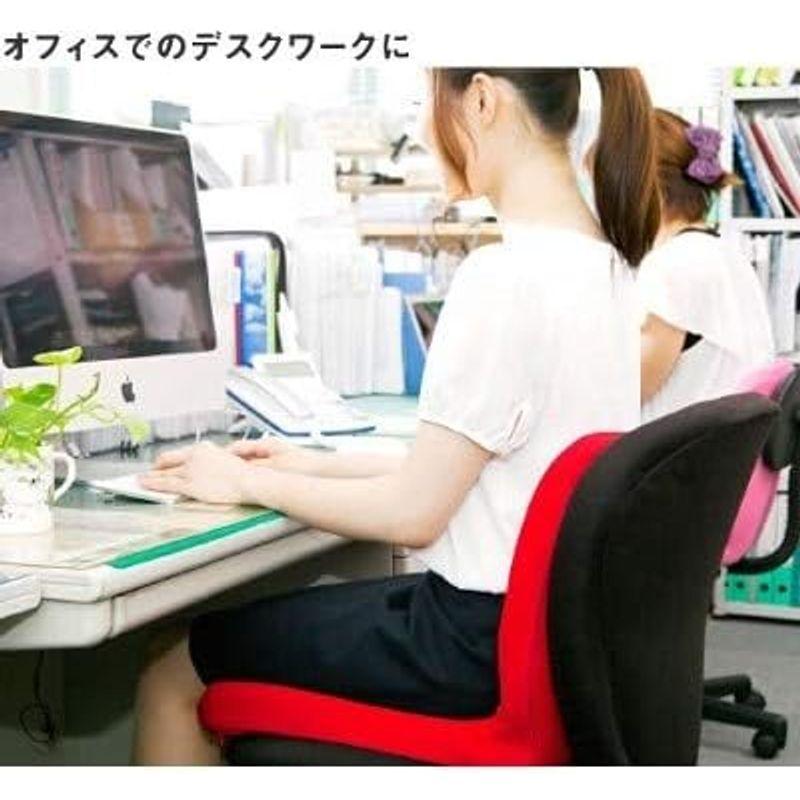 ピーエーエス pnto 正しい姿勢の習慣用座布団 クッション PINTOBK ブラック pnto 正しい姿勢の習慣用座布団 クッション PINTOBK ブラック