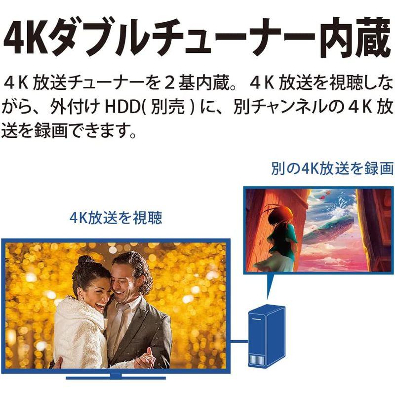 テレビ シャープ 55V型 4K 液晶 AQUOS 4T-C55EN1 N-Blackパネル 倍速液晶 Google TV (2022年モデ｜comfyfactory｜03