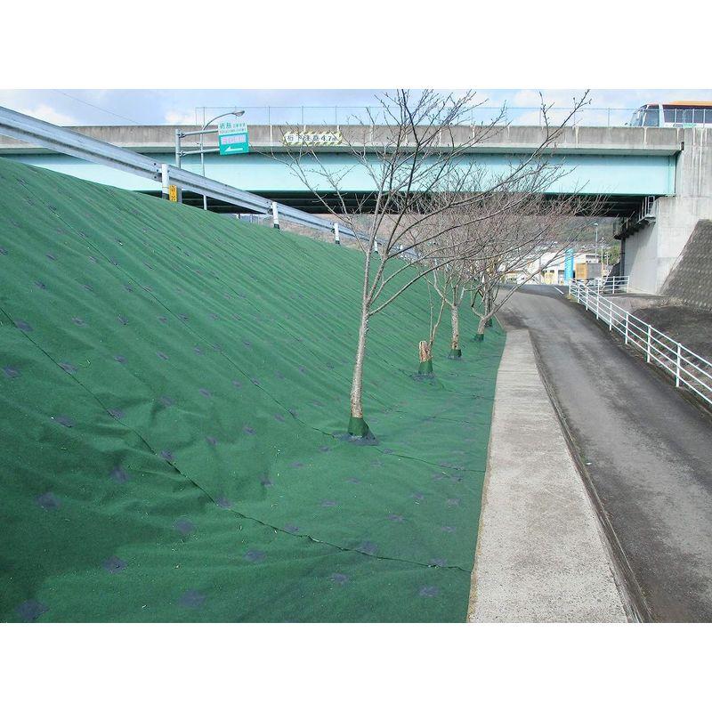 シンセイ 防草シート ストロングマット 超厚手3mm 2m×20m グリーン 花、ガーデニング 園芸用品 その他ガーデニング、園芸用品
